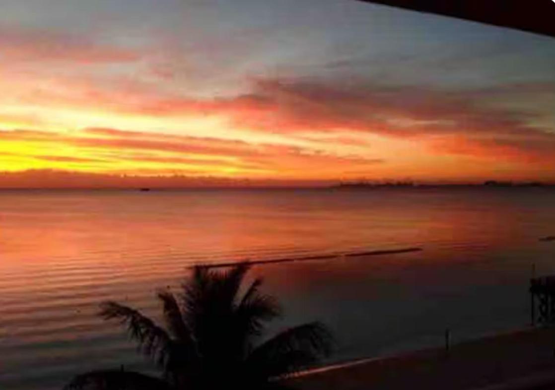 Caribbean Apartment Cancún Eksteriør billede